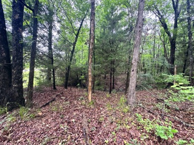 2 acre Wooded Lot in The Shores at Richland Chambers Lake - photo 16