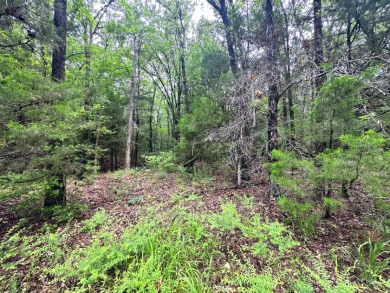 2 acre Wooded Lot in The Shores at Richland Chambers Lake - photo 22
