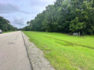 2 acre Wooded Lot in The Shores at Richland Chambers Lake - photo 20