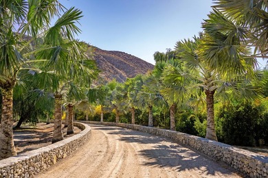 This unique 246.52-acre estate features a main home with primary - photo 13