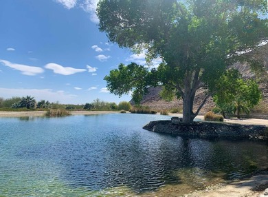 This unique 246.52-acre estate features a main home with primary - photo 15