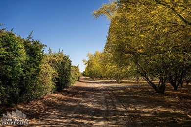 This unique 246.52-acre estate features a main home with primary - photo 22