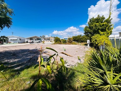 Opportunity awaits with this vacant lot as a canvas to put in - photo 3