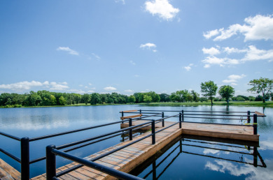 2 acre Wooded Lot in The Shores at Richland Chambers Lake - photo 42