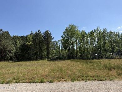Build or place your mobile/manufactured home on this cleared and - photo 1