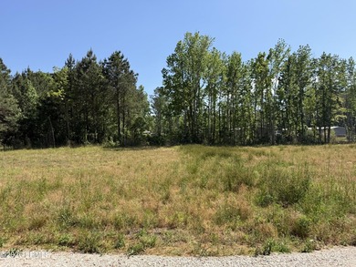 Build or place your mobile/manufactured home on this cleared and - photo 2