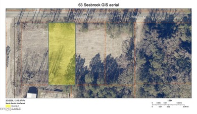 Build or place your mobile/manufactured home on this cleared and - photo 3