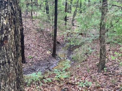 2 acre Wooded Lot in The Shores at Richland Chambers Lake - photo 12