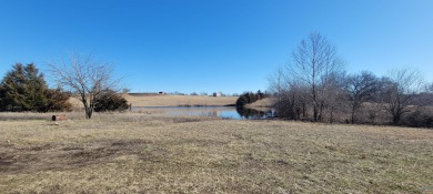 Stockton Lake Home For Sale in Stockton Missouri