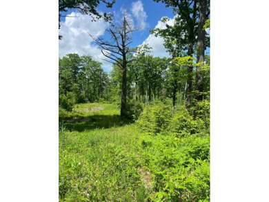 Canaan Street Lake is a pristine 291-acre jewel tucked away in - photo 7