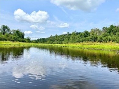 (private lake, pond, creek) Acreage For Sale in Ojibwa Wisconsin