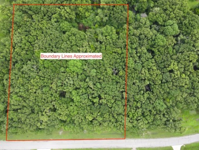 2 acre Wooded Lot in The Shores at Richland Chambers Lake - photo 28