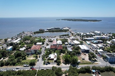 What a unique island opportunity! When do you ever get the - photo 4