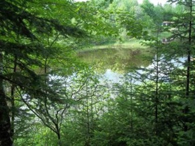 South Fork Flambeau River Lot For Sale in Park Falls Wisconsin