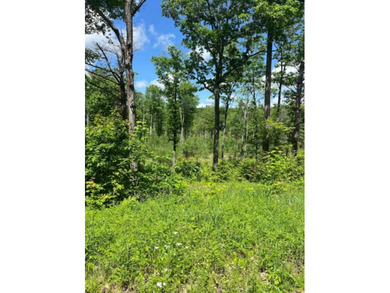 Attention investors, developers, and estate builders: an - photo 1