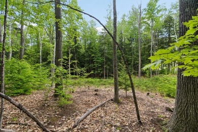 Attention investors, developers, and estate builders: an - photo 5