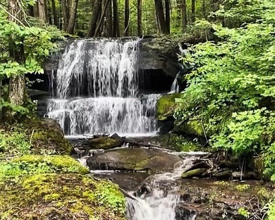 (private lake, pond, creek) Acreage For Sale in Margaretville New York