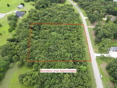 2 acre Wooded Lot in The Shores at Richland Chambers Lake - photo 5