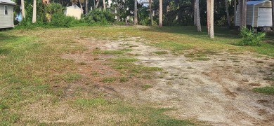 Suwannee River Lot For Sale in Suwannee Florida