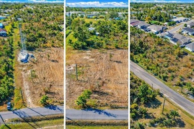 0.93-acre parcel in Callaway, Florida, located in one of the - photo 5