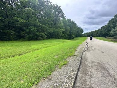 2 acre Wooded Lot in The Shores at Richland Chambers Lake - photo 11