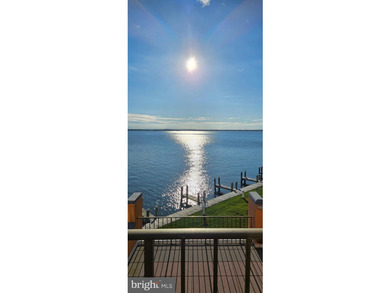 Bay Views Galore! Welcome to your waterfront escape at Ponte - photo 22
