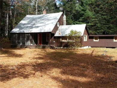 (private lake, pond, creek) Home For Sale in Madrid Twp Maine