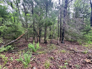 2 acre Wooded Lot in The Shores at Richland Chambers Lake - photo 18
