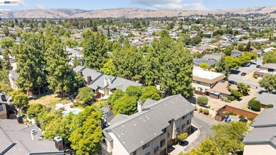 Welcome to 43081 Mayfair Park Terrace, where modern updates and - photo 44