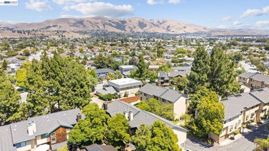 Welcome to 43081 Mayfair Park Terrace, where modern updates and - photo 45