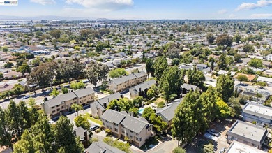 Welcome to 43081 Mayfair Park Terrace, where modern updates and - photo 46