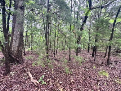 2 acre Wooded Lot in The Shores at Richland Chambers Lake - photo 15