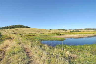 Lake Acreage For Sale in Hartsel, Colorado