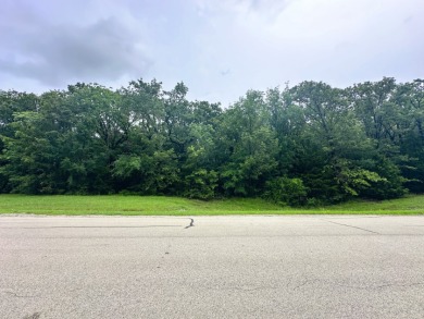 2 acre Wooded Lot in The Shores at Richland Chambers Lake - photo 27