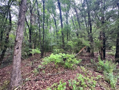 2 acre Wooded Lot in The Shores at Richland Chambers Lake - photo 17