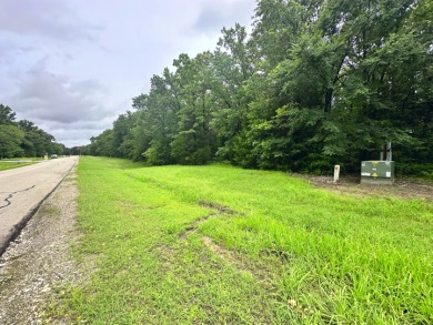 2 acre Wooded Lot in The Shores at Richland Chambers Lake - photo 6