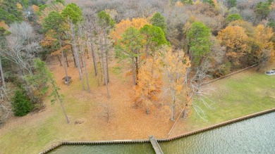 Twelve Waterfront Acres on Lake Bob Sandlin! - photo 4