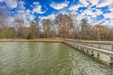 Twelve Waterfront Acres on Lake Bob Sandlin! - photo 7