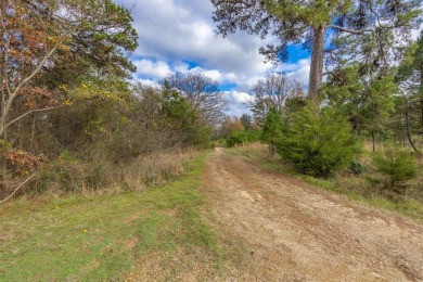 Twelve Waterfront Acres on Lake Bob Sandlin! - photo 10