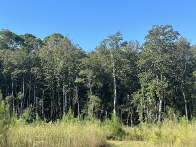 (private lake, pond, coastal) Acreage For Sale in Laurel Hill Florida
