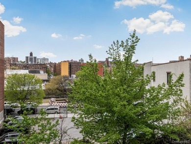 Sun-Drenched Sophistication Near Van Cortlandt Park Stop renting - photo 11