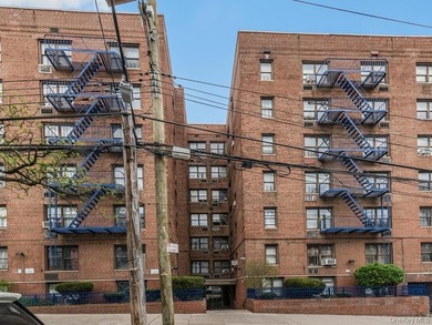 Sun-Drenched Sophistication Near Van Cortlandt Park Stop renting - photo 12