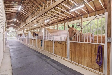 Equestrian Facility, ready for your horses, or set up a working - photo 13