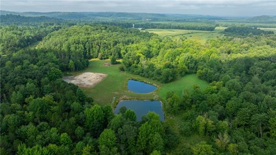 (private lake, pond, creek) Acreage Active Under Con in Fairchild Wisconsin
