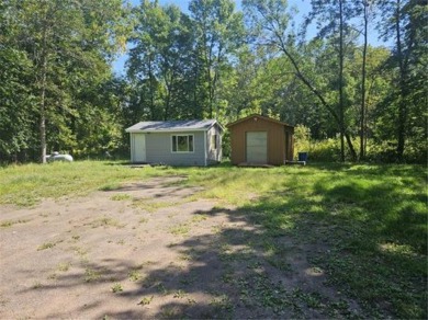 Mille Lacs Lake Home For Sale in East Side Twp Minnesota