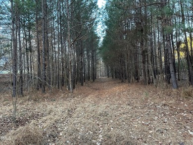 Jordan Lake Lot Sale Pending in Pittsboro North Carolina