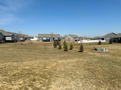 This like-new Kennedy model twin home in the Moon Lake - photo 34