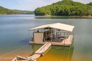 Breathtaking lakefront home on pristine Norris Lake. This - photo 38