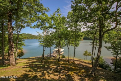 Breathtaking lakefront home on pristine Norris Lake. This - photo 39