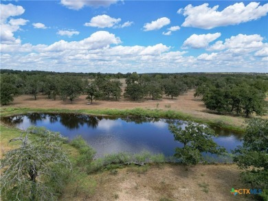 (private lake, pond, creek) Acreage For Sale in Kingsbury Texas